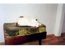 ����, �� ����:)