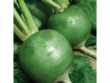 ������ ������������ 5,00 ���..jpg