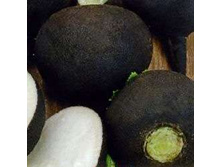 ������ �������� 4,80 ���..jpg