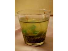 ����� ����