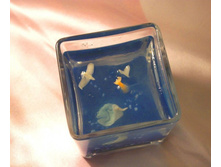 ���� ���� ������