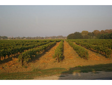 ����������� ����