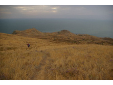 � ���� - � ����