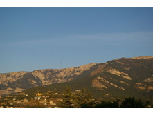 ����� ����