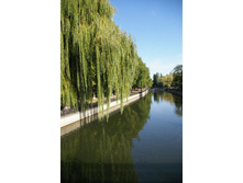 ��������������� ����