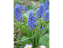 �������. 10 � ���������