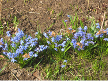 ������ (��������) ���������, ������� 10 ���������- 50 �.