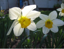 �������, 1 �� - 20 �.