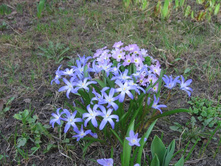 ����������, 20 �. ��������