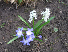 ���������� (�������), 20 �. � �������� (�����), 10 �.