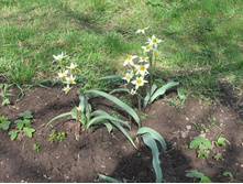 �������� ������� \"������������\"