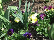 ��������