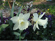 ��������