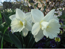 ��������