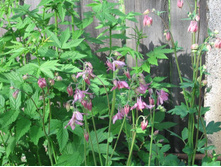 ��������� (��������), 70 �.