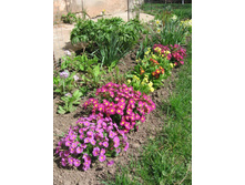 �������