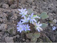 �����������, �� 80 �.