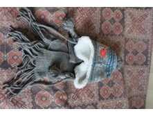 ����������� 001.jpg