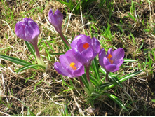 ������ ��������, 15 �. ��������