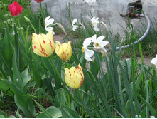 ��������