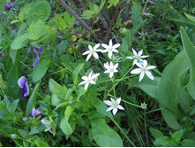 ������������, 30 �. ���������