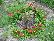 ���������� �������, 30 �. �������