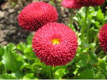 ���������� �������