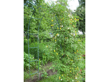 �������� ���������� \"������� �����\"