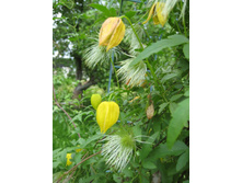 �������� ���������� \"������� �����\"