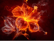 ��������  ������.jpg