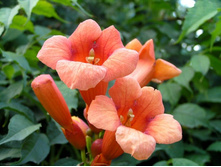 �������� ��������������, ������� ����� ������������. ��� ���.