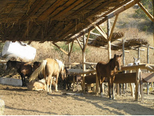 �� ����-���� �� ���� � ���������