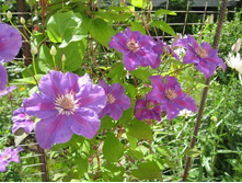 �������� \"����\"