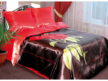 ����� «����» 