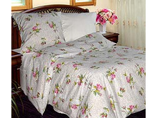 «�������� ����» 