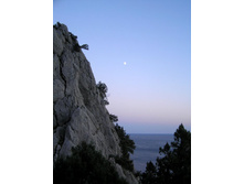 ���� ����