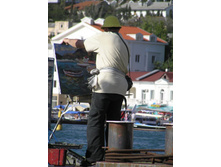 � ���������