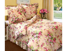 ����� «���������» 