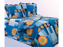 ����� «���������» 