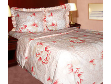 ����� «���������» 