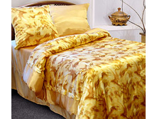 ����� «����» 