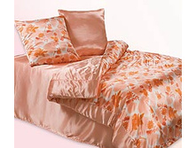 ����� «����» 