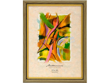 38,69���. ��� 15297 ��������� Emafyl 586 15�21 �����.jpg