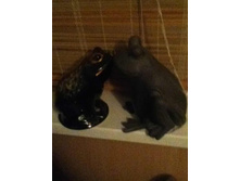 04.02.2013 23:46:31