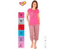 11110961020 �������� � �����. 480 ���