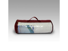 ����������� ���������