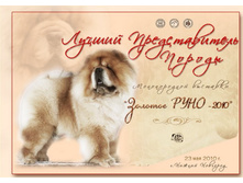 ���� 2010 ������.jpg