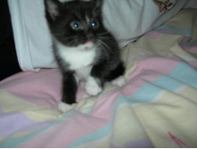 DSCN9546.JPG
