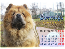 ��������� 2012 ���.jpg
