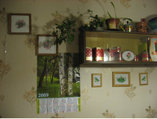 �������� �����